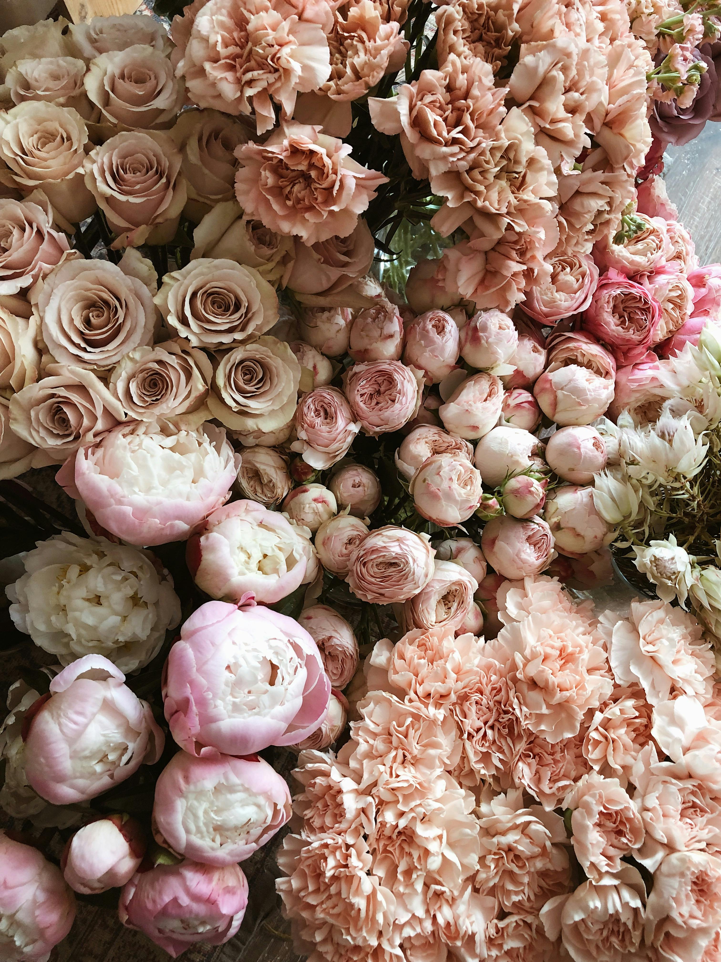 pexels-secret-garden-333350-