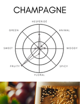 ディフューザー|シャンパン|5000ml【送料無料】