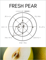 ボディスプレー|フレッシュペア|10ml
