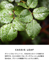 ディフューザー|カシスリーフ|500ml【送料無料】