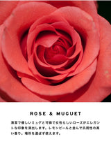 プレミアム デタージェント(洗濯用洗剤)