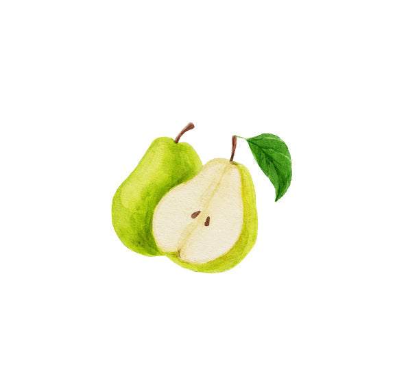 人気NO.1"FRESH PEAR(フレッシュペア)"の香り紹介