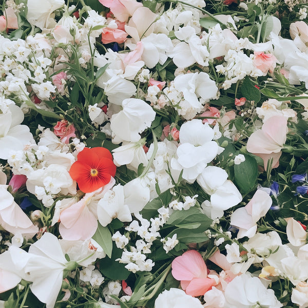 『Sweet soft Jasmine』 #ジャスミン SPJ_600x600_crop_center.jpg?v=