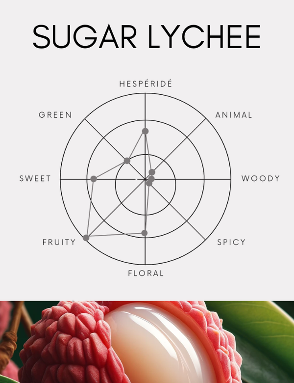 ディフューザー｜シュガーライチ｜500ml【送料無料】 – SHOLAYERED