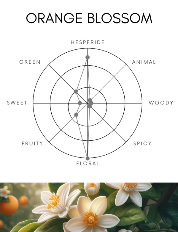 ボディスプレー｜オレンジブロッサム｜100ml – SHOLAYERED