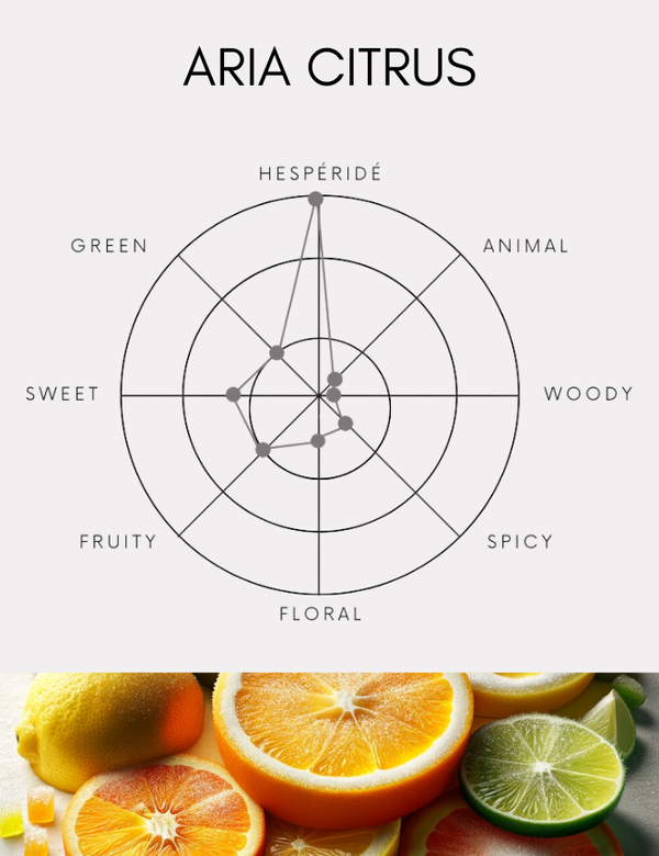 ショーレイヤード ルームディフューザー アリアシトラス 500ml ディフューザー｜アリアシトラス｜500ml【送料無料】 – SHOLAYERED