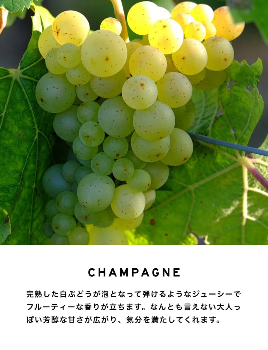 ディフューザー|シャンパン|200ml – SHOLAYERED ディフューザー|シャンパン|200ml – SHOLAYERED