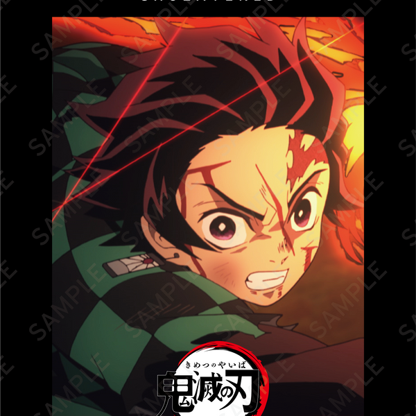 新着商品 – SHOLAYERED