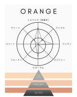 EDT 香水 コレクション