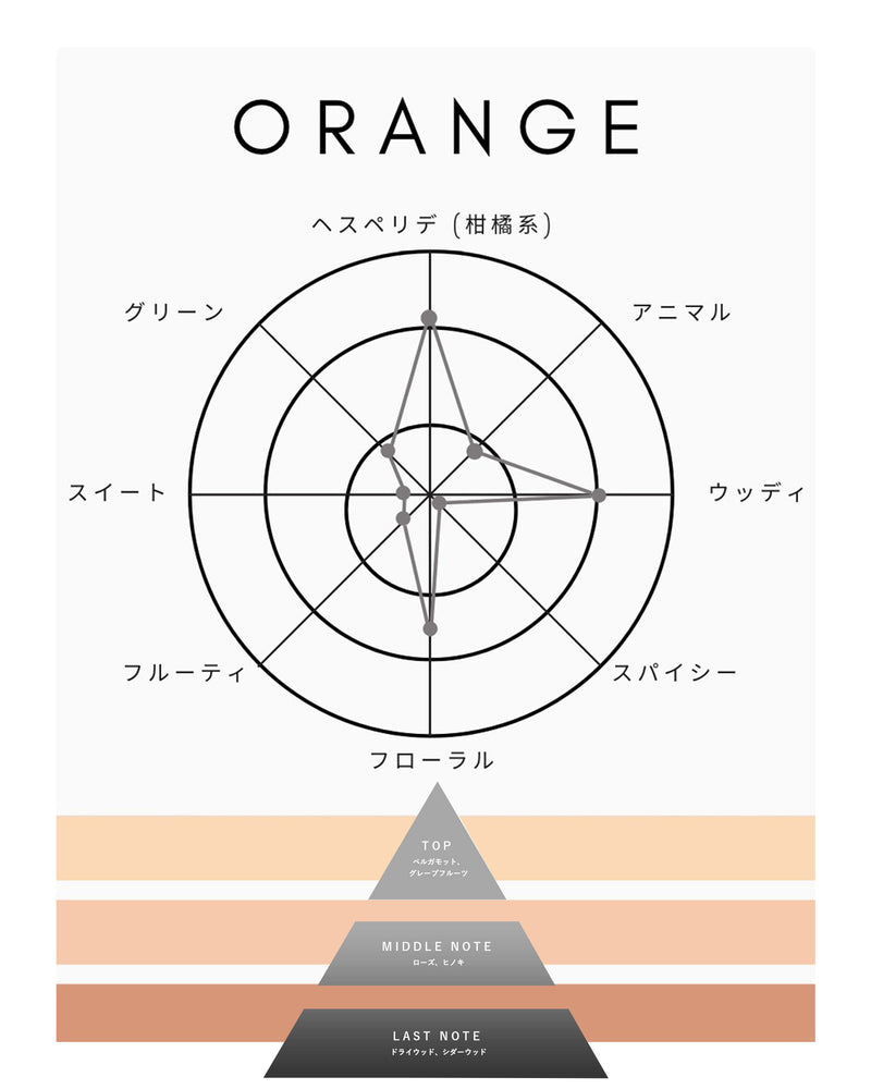 EDT 香水 コレクション