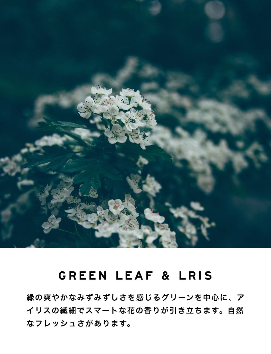 GREENLEAF_LRIS-min_8dc4f119- 