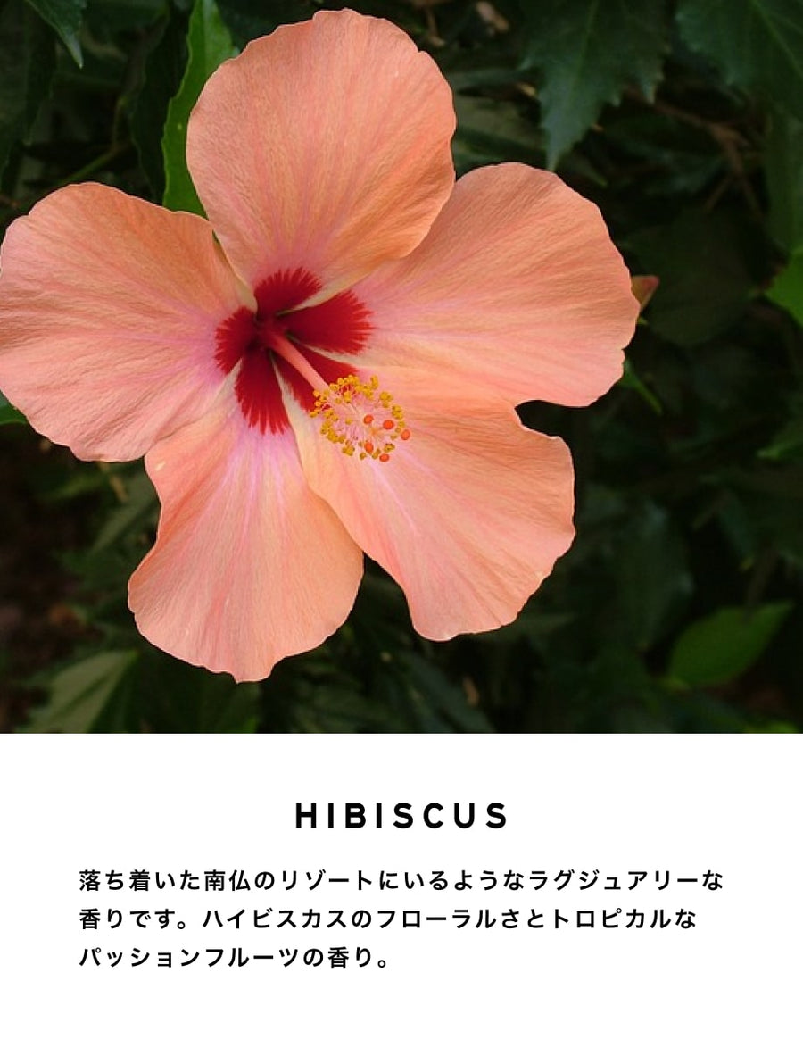 SHOLAYERED ノンアルコールパフューム ハイビスカス pic_Non-AlcoholicPerfume_900x.